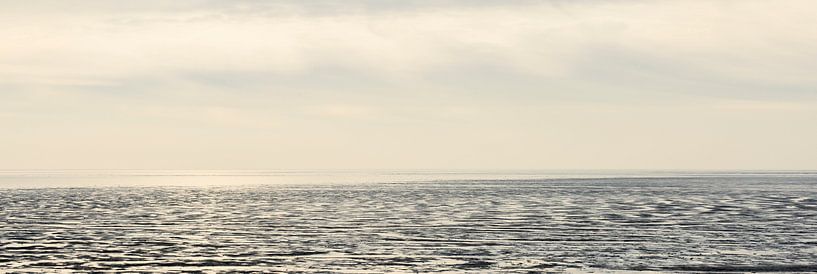 Wattenmeer Ameland von Marlon Dias