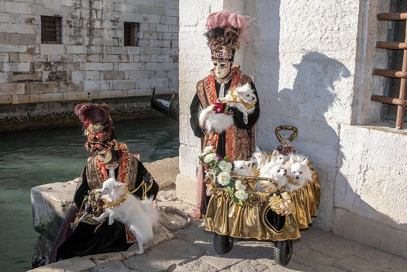 Carnaval avec des petits chiens à Venise par t.ART