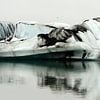 IJsbergen in het Jökulsárlónmeer in IJsland van Gonnie van de Schans