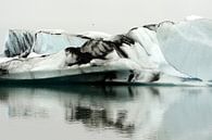 Eisberge in der Jökulsárlónmeer in Island von Gonnie van de Schans Miniaturansicht