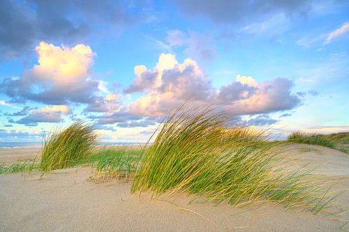 Texel strand zonsondergang met zandduinen op de voorgrond