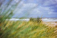 Vlieland Nordseestrand 3