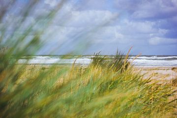 Vlieland North Sea beach 3 by Nienke Boon