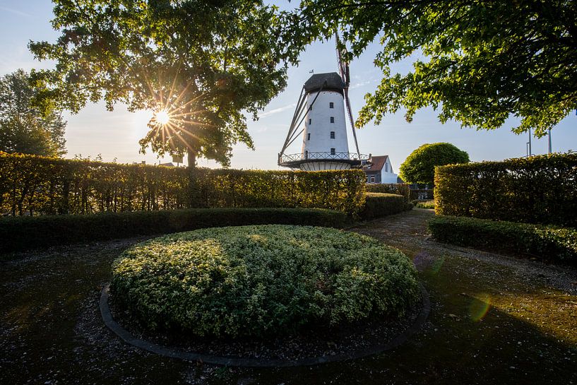 Sonnenaufgang in der Mühle die gute Hoffnung in Menin von Fotografie Krist / Top Foto Vlaanderen