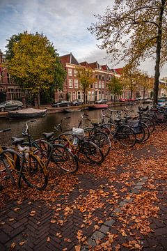 Leiden - Bladeren en fietsen op de Herengracht (0010) van Reezyard