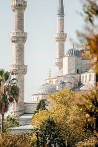 Minarets of the Blue Mosque, atmospheric Istanbul in pictures