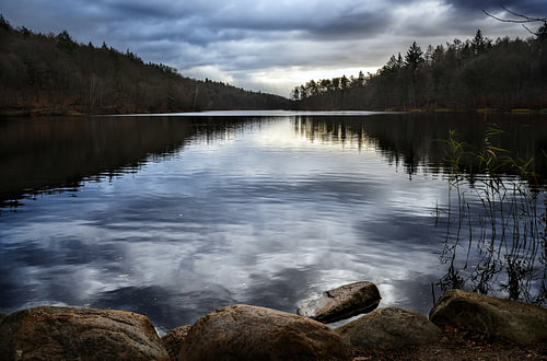 Waldsee mit reflektierenden Wolken, Naturhintergrund mit Kopierraum