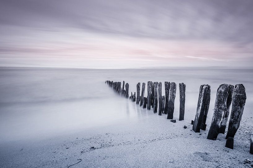 sea notes by Ursula Reins