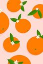 Oranges on a pink background by Studio Miloa thumbnail