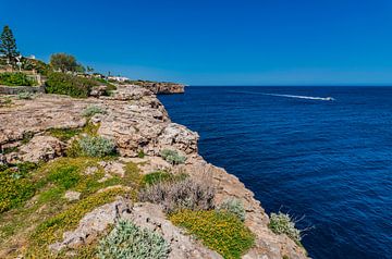 Beautiful island scenery on the coastline on Mallorca, Spain by Alex Winter