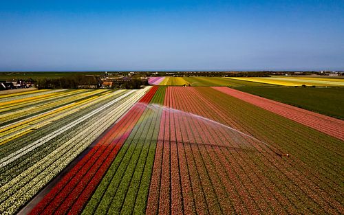 Een pracht aan kleuren!