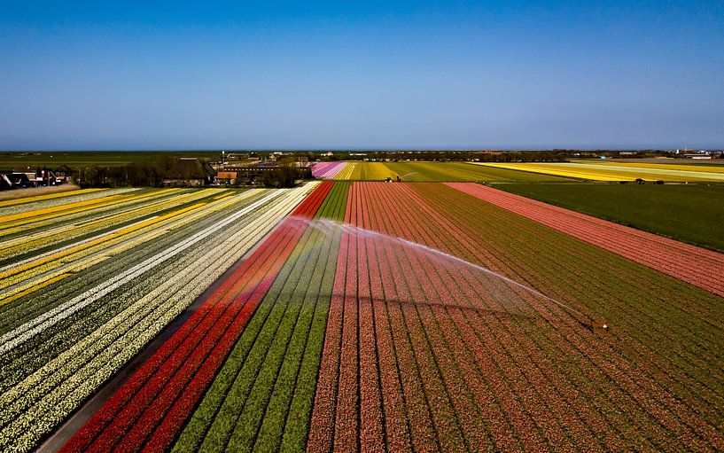 Een pracht aan kleuren! by K.C. Statia