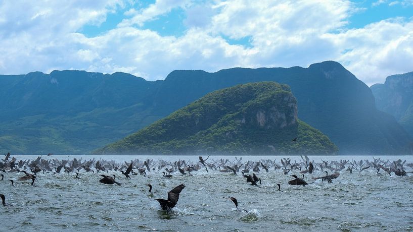 Cañon del Sumidero, Chiapas, Mexiko von themovingcloudsphotography