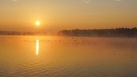 Reindersmeer by Dirk van Egmond