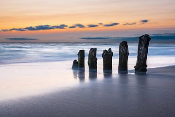 Groynes on the Baltic Sea coast van Rico Ködder