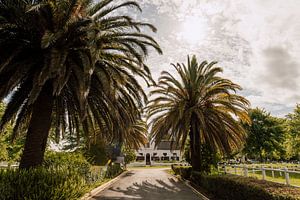 Das Weinhaus | Südafrika Reisefotografie von Yaira Bernabela