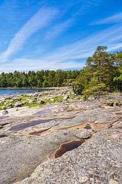 Ostseeküste mit Felsen und Bäumen auf der Insel Sladö in Schw von Rico Ködder