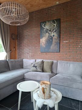 Klantfoto: Edelhert van Carla van Zomeren