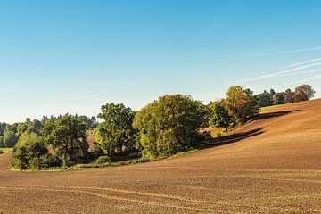 Landschaft mit Feld und Bäumen bei Hohen Demzin von Rico Ködder