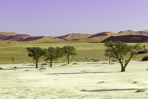 Dodevlei_3, Sesriem Namibie