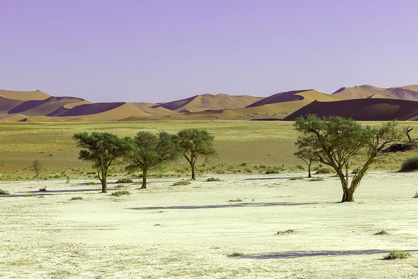 Dodevlei_3, sesriem Namibia von antonvanbeek.nl