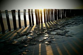 De Zeeuwse Kust  by Sabine Witteveen