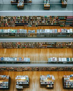In der Bibliothek