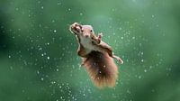 Jumping Jack