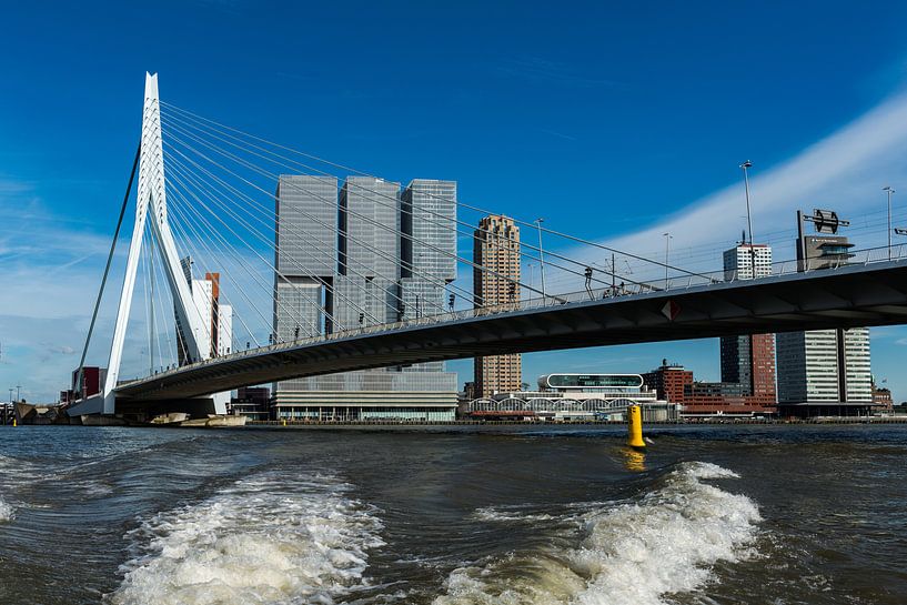 Rotterdam by Eddy Westdijk