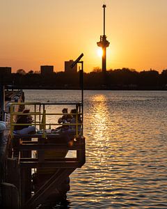 Rotterdam sunset