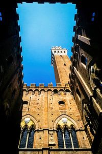 Campanile in Siena