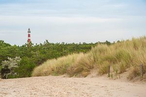 Vuurtoren duinen Ameland