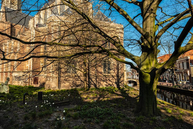 Delft by Brian Morgan