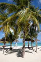 Aruba