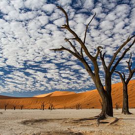 Dead Vlei met wolken van Henk Bogaard