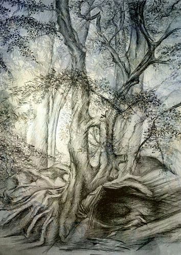 Listen to the magic whispers of old trees van Anita Snik-Broeken