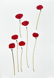 L'élégance des coquelicots