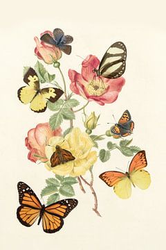 Fleurs et papillons sur Elles Rijsdijk