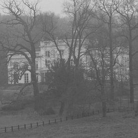 Das Haus zwischen den Bäumen von Wesley Louter