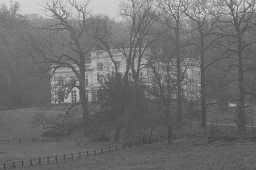 House through the trees by wesley Louter