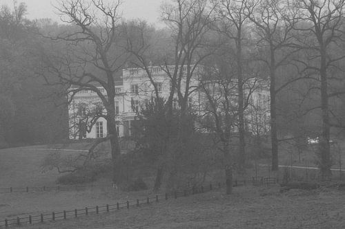 House through the trees