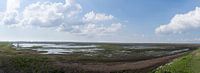 Panoramisch zicht op het Verdronken Land van Saeftinghe