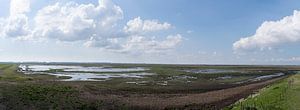 Vue panoramique de la Terre noyée de Saeftinghe