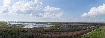 Panoramisch zicht op het Verdronken Land van Saeftinghe van Leoniek van der Vliet