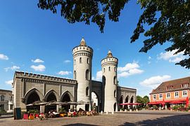 Nauener Tor- Potsdam von Frank Herrmann