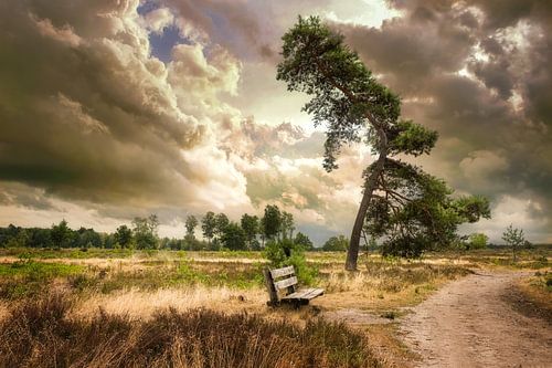 Stilte voor de storm