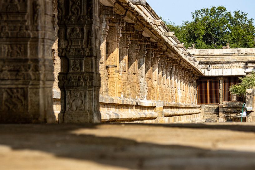 The pillars in the Airavatesvara Temple (India) by Martijn