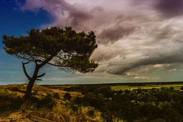 Terschelling sur Mirjam Rypma