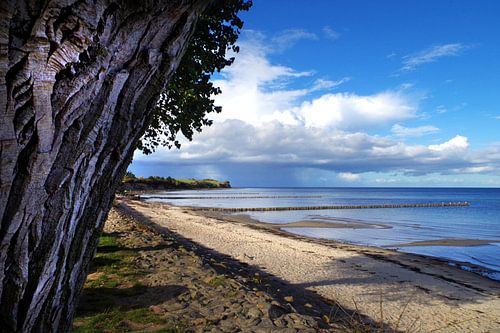 Uitzicht op de Oostzee