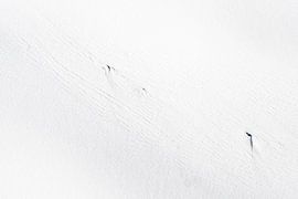 Flying over Greenland by Liesbeth Vogelzang